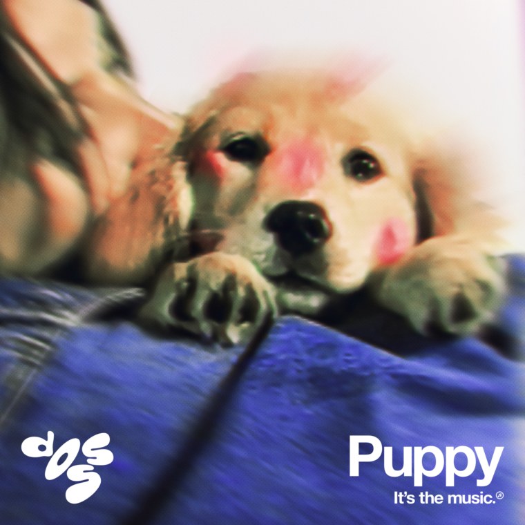 Doss is back with a new single, “Puppy”
